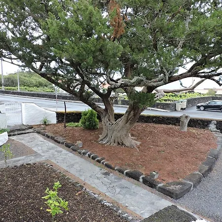 Σπίτι διακοπών Casa Do Bica São Roque do Pico